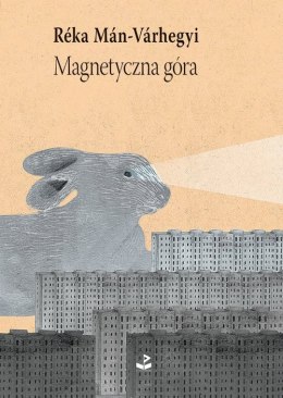 Magnetyczna góra