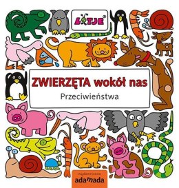 Przeciwieństwa. Zwierzęta wokół nas