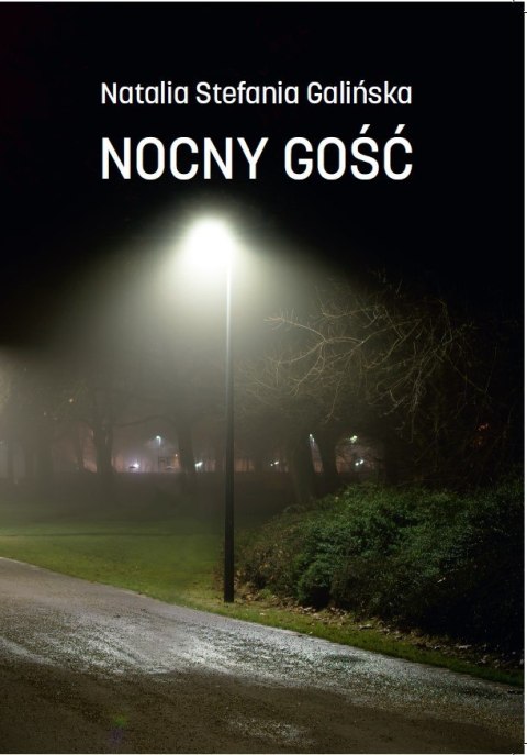 Nocny gość