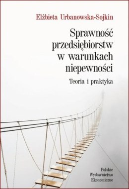 Sprawność przedsiębiorstw w warunkach niepewności. Teoria i praktyka