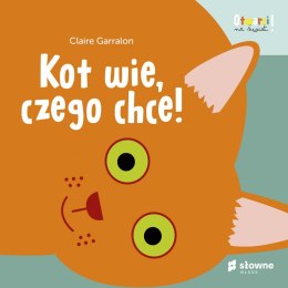 Kot wie, czego chce. Otwarci na świat