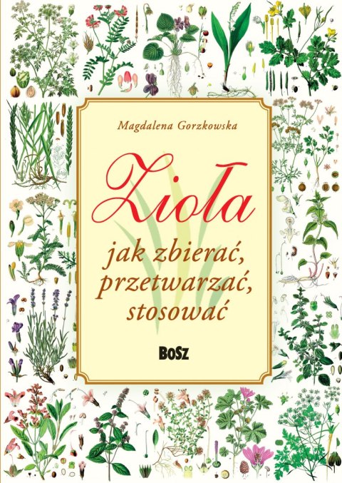 Zioła. Jak zbierać, przetwarzać, stosować