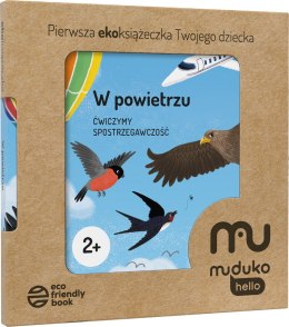 W powietrzu. Ćwiczymy spostrzegawczość 2+ Pierwsza ekoksiążeczka Twojego Dziecka