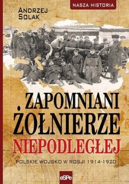 Zapomniani żołnierze niepodległej