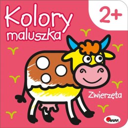 Zwierzęta. Kolory maluszka