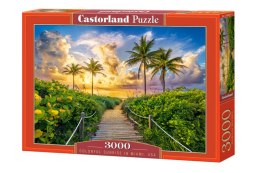 Puzzle 3000 Kolorowy wschód słońca w Miami USA C-300617