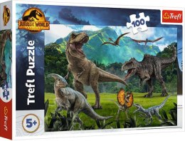 Puzzle 100 Park Jurajski 16441