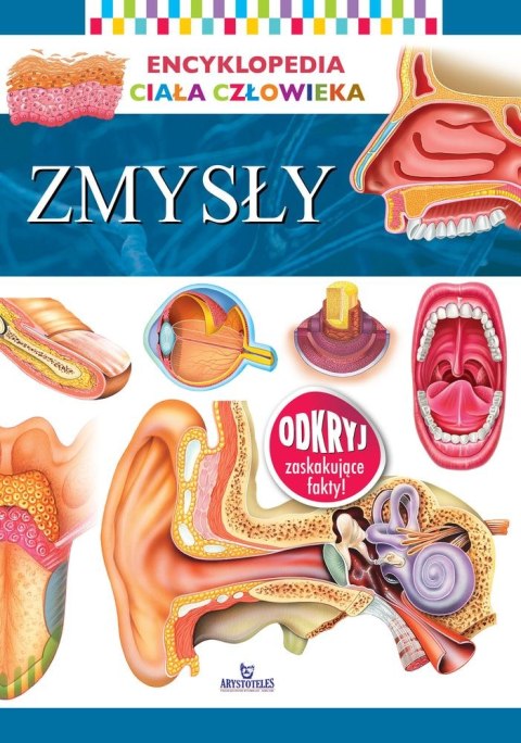 Zmysły. Encyklopedia ciała człowieka