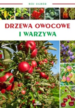 Drzewa owocowe i warzywa. Mój ogród