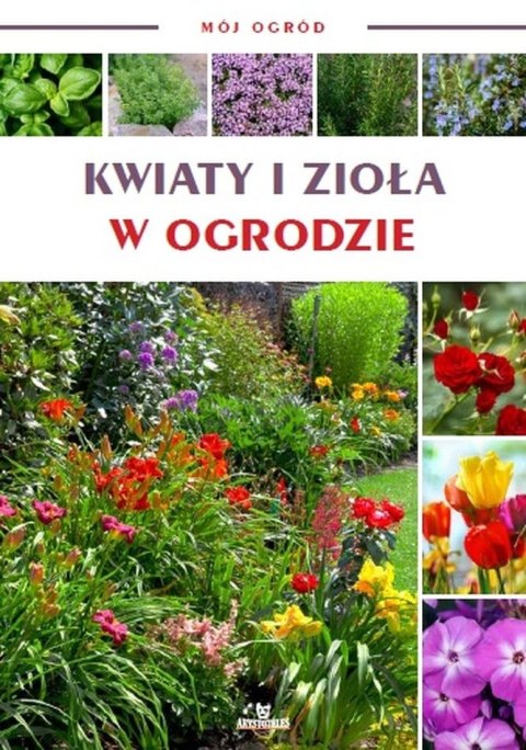 Kwiaty i zioła w ogrodzie. Mój ogród