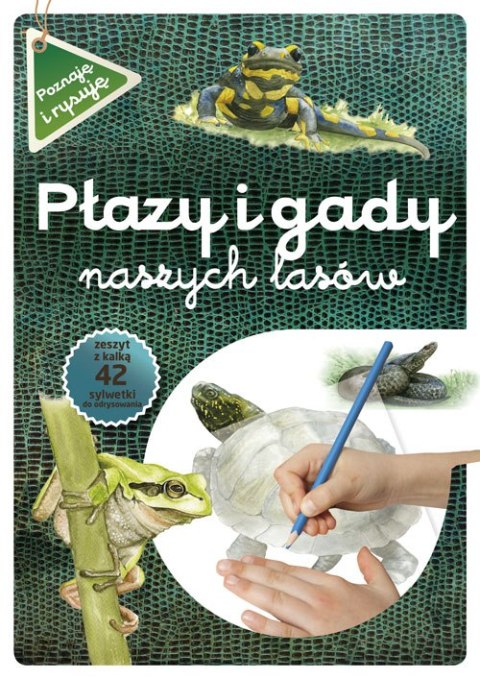 Płazy i gady naszych lasów wyd. 2021