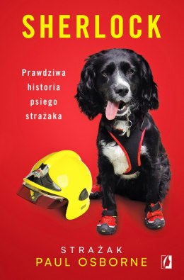 Sherlock prawdziwa historia psiego strażaka