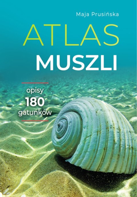 Atlas muszli