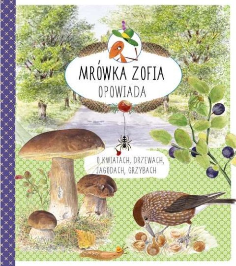 Mrówka zofia opowiada