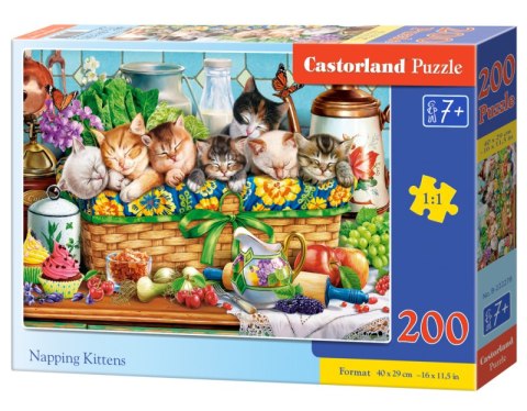 Puzzle 200 Napping Kittens B-222278