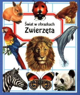 Zwierzęta. Świat w obrazkach