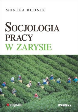 Socjologia pracy w zarysie