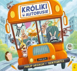 Króliki w autobusie. Pędzące króliki