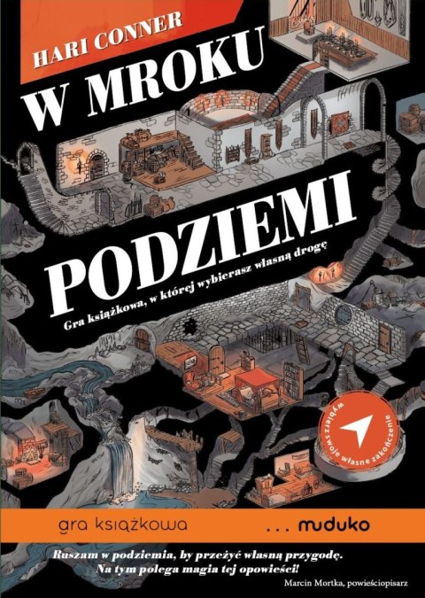 W mroku podziemi. Gra książkowa, w której wybierasz własną drogę