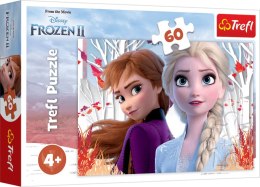 Puzzle 60 Zaczarowany świat Anny i Elsy Frozen 2 17333