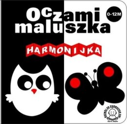 Harmonijka oczami maluszka