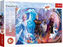 Puzzle 100 Magia krainy lodu Frozen 2 16366