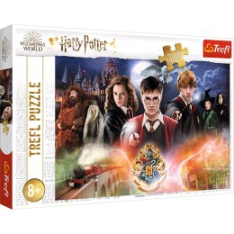 Puzzle 300 Tajemniczy Harry Potter 23001