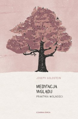 Medytacja wglądu. Praktyka wolności