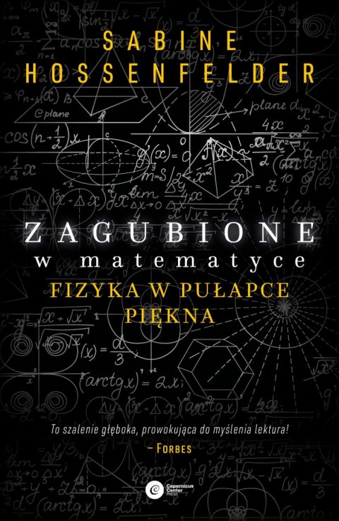 Zagubione w matematyce fizyka w pułapce piękna