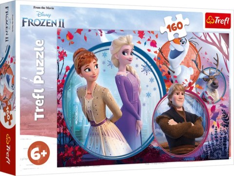 Puzzle 160 Siostrzana przygoda Frozen 2 15374