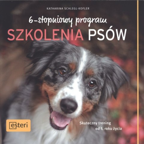 6-stopniowy program szkolenia psów skuteczny trening od pierwszego roku życia