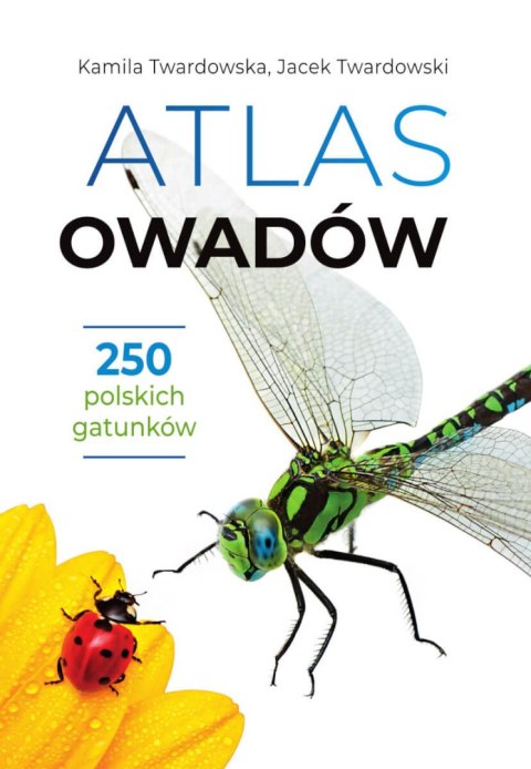 Atlas owadów. 250 polskich gatunków