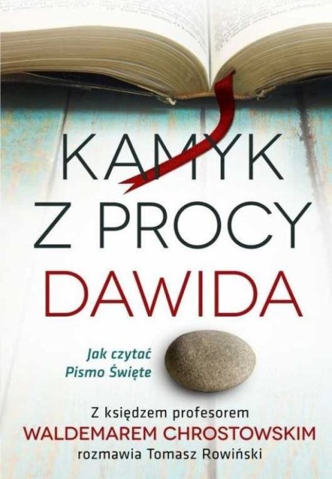 Kamyk z procy dawida jak czytać Pismo Święte