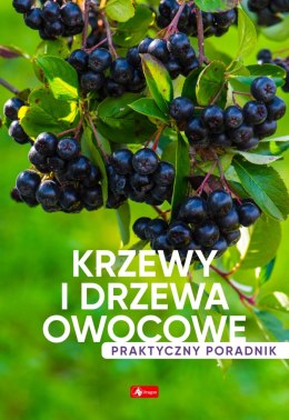 Krzewy i drzewa owocowe. Poradnik praktyczny