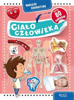 Ciało człowieka naklejki edukacyjne