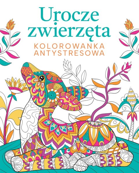 Urocze zwierzęta. Kolorowanka antystresowa