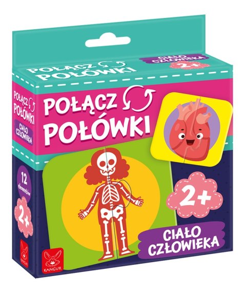 Gra Połącz Połówki Ciało Człowieka