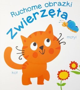 Zwierzęta. Ruchome obrazki