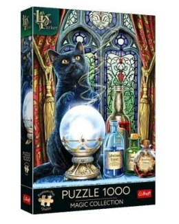 Puzzle 1000 Premium Plus Magic Collection Uczeń czarownicy 10898