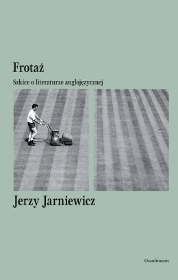 Frotaż. Szkice o literaturze anglojęzycznej