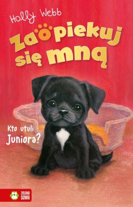 Kto utuli Juniora? Zaopiekuj się mną