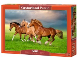 Puzzle 500 Horses in Spring Rush B-54084