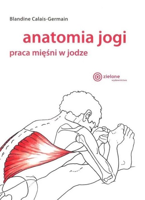 Anatomia jogi