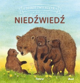 Niedźwiedź dzikie zwierzęta w naturze