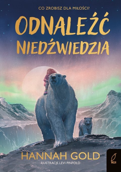 Odnaleźć niedźwiedzia