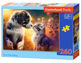 Puzzle 260 New Friendship B-27583-1