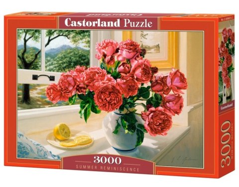 Puzzle 3000 Summer Reminiscence C-300631-2