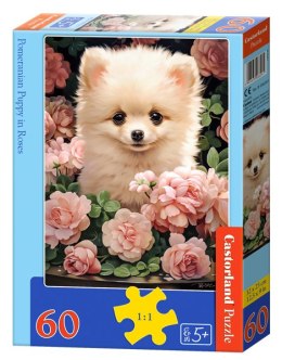 Puzzle 60 Pomeranian Puppy in Roses B-066261