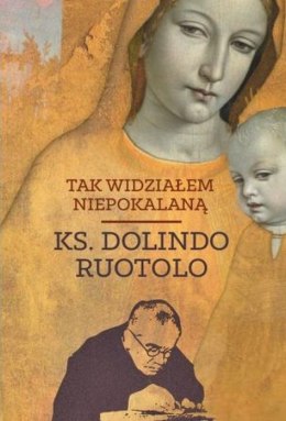 Tak widziałem Niepokalaną