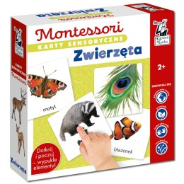 Karty sensoryczne Montessori Zwierzęta Kapitan Nauka